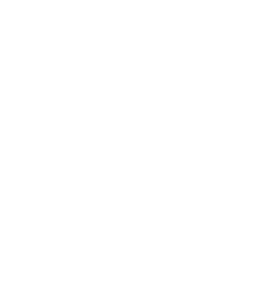 logo czech chamber